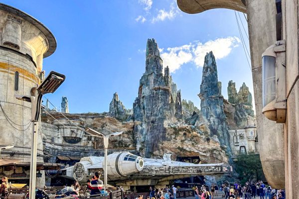 This Is Why We Warn You About Going to Disney World on May 4th