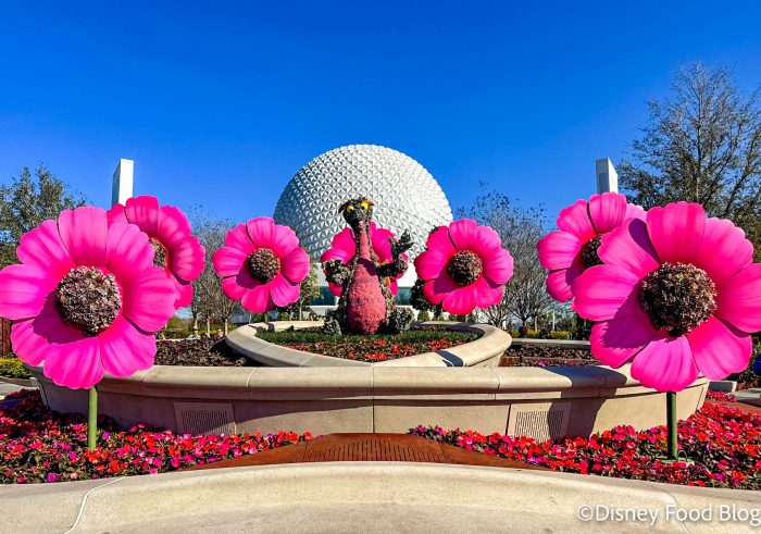 2024-wdw-epcot-atmos-flower-and-garden-f