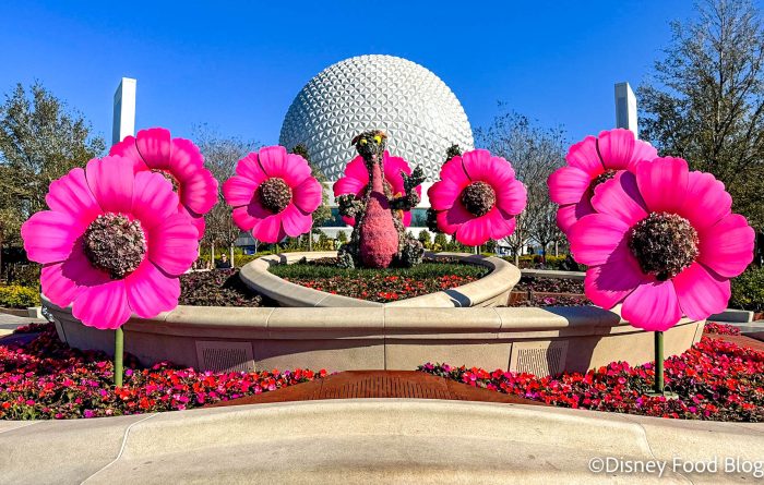 2024-wdw-epcot-atmos-flower-and-garden-f