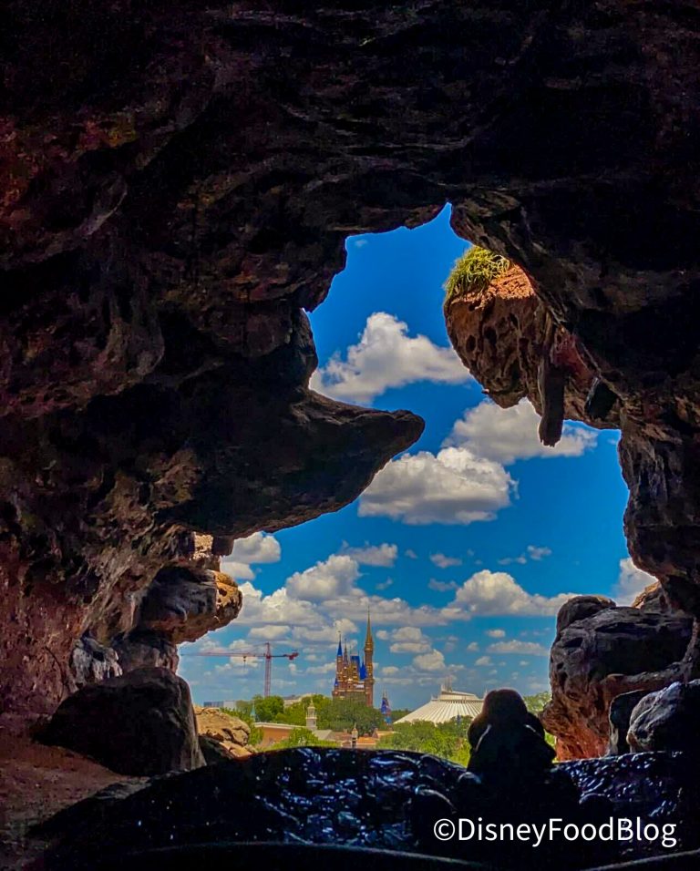 Has This Iconic Splash Mountain Hidden Mickey Gone MISSING? 😧 | the ...