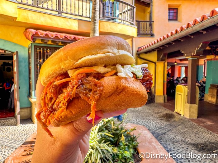 wdw-2024-mk-tortuga-tavern-review-barbec