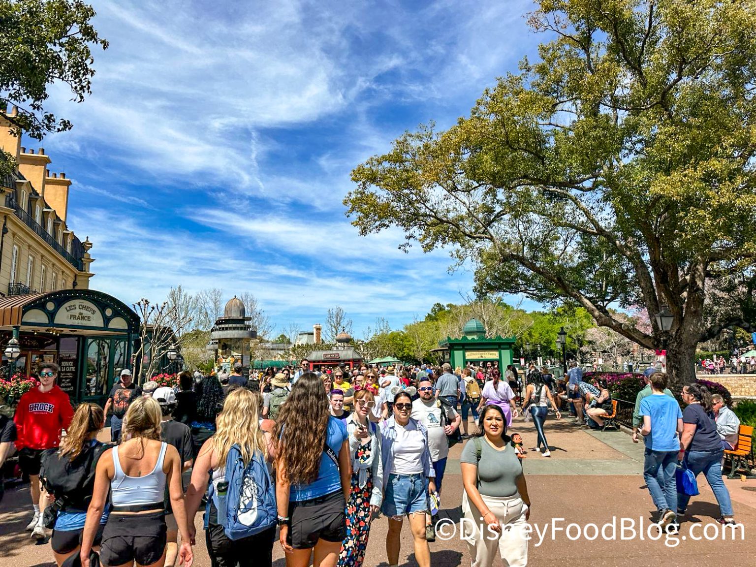 Problem Allarming An Alarming New Travel Trend Is Becoming a Problem at Disney World ...