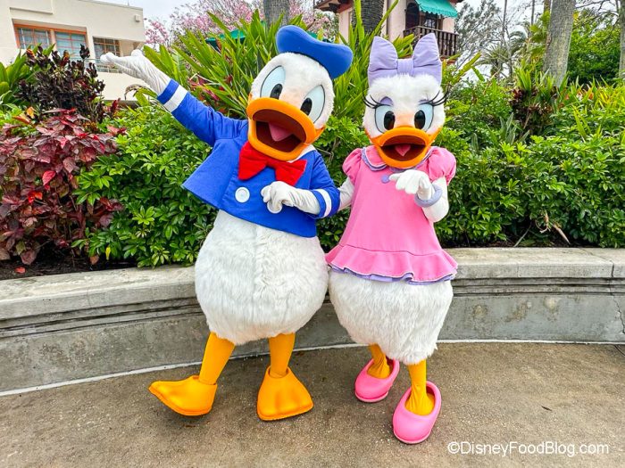 2024-wdw-dhs-donald-and-daisy-meet-and-g