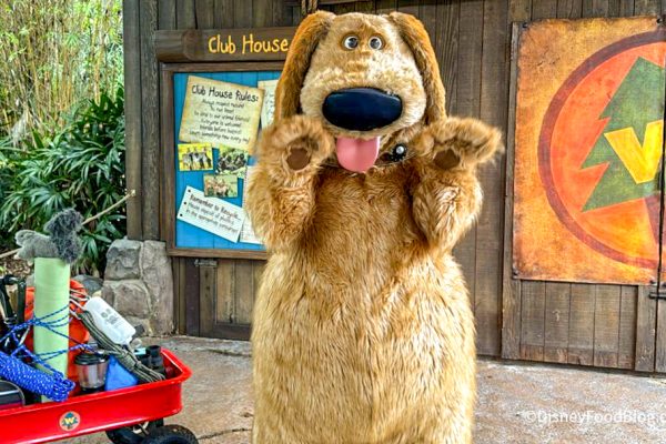 “Do Human Puppies Get the Zoomies” and 13 Other Hilarious NEW Things Dug Can Say in Disney World