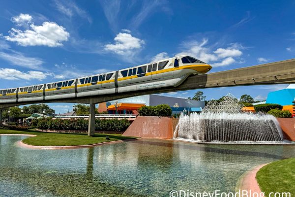 CHANGES Hit Disney World Monorail