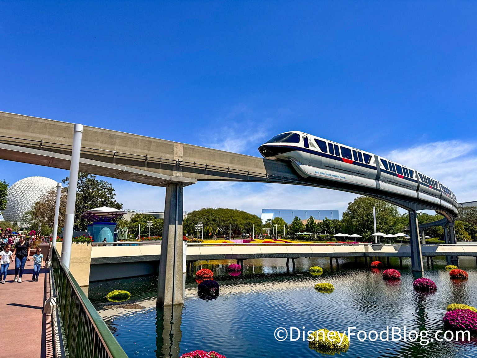 The Amazing, FREE Service You're Not Using at Disney World | the disney ...