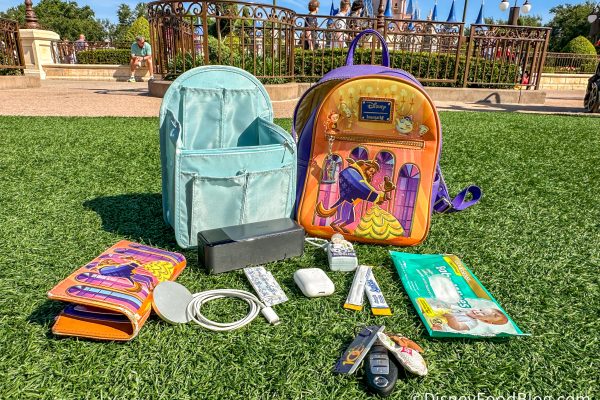 5 Disney World Essentials To Buy Before Your Next Trip