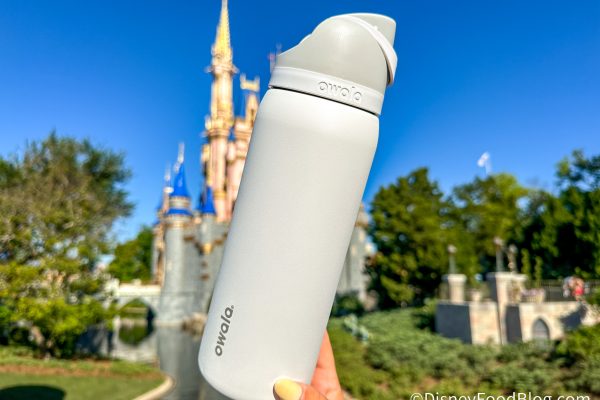 Everything You Need for the 4th of July at Disney World — All on Amazon
