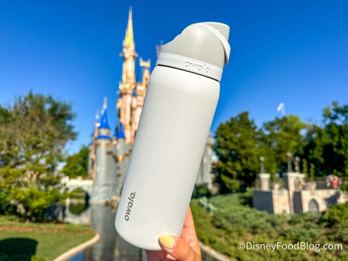 2024-dfb-owala-marshmallow-water-bottle-