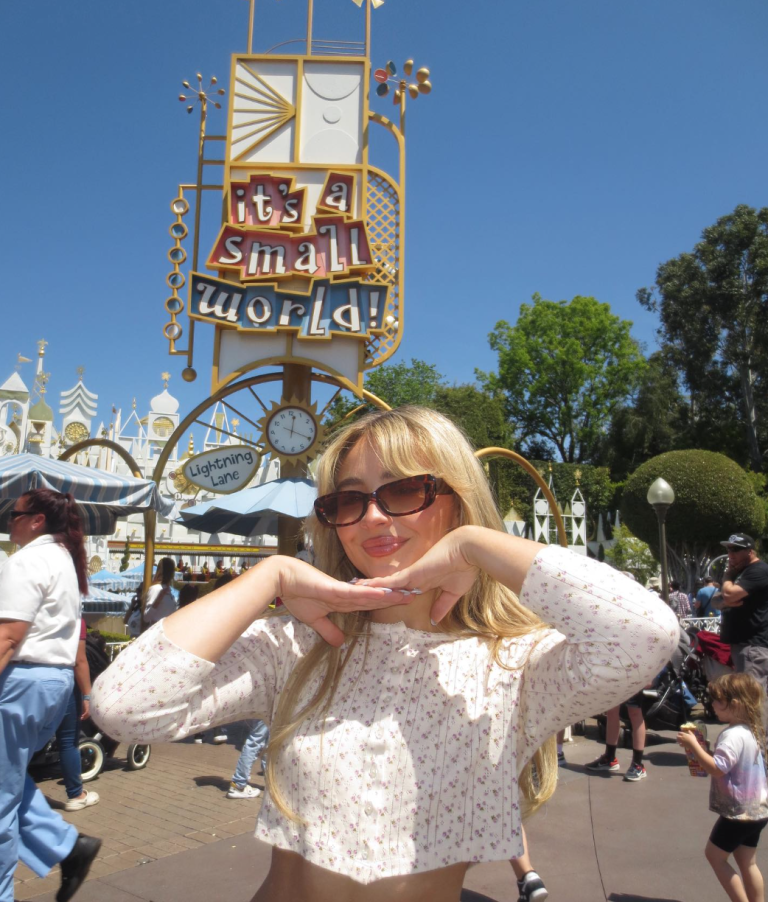 MAJOR Celebrity Spotted! You Won't Believe Who Just Rode Disney's "it's