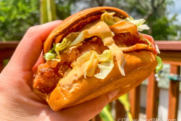 REVIEW: A SPICY New Sandwich Has Landed at McDonald’s 🔥 🌶️ 🥵