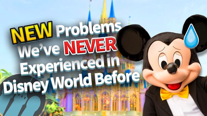 DFB Video: NEW Problems We've NEVER Experienced in Disney World Before ...