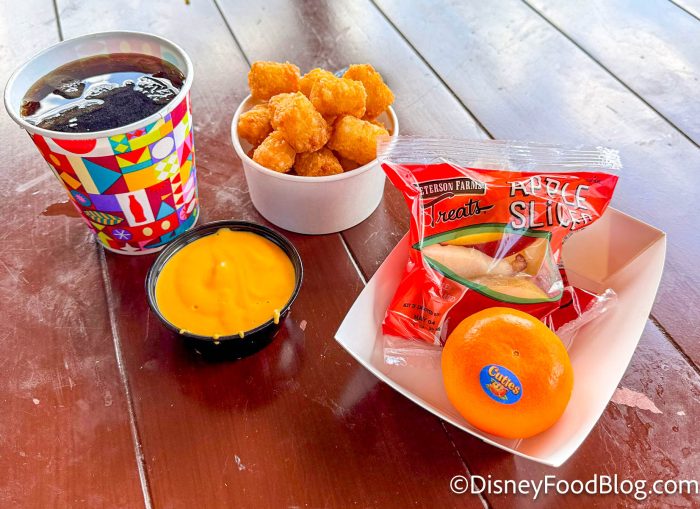 wdw-2024-mk-the-friars-nook-tater-tots-a