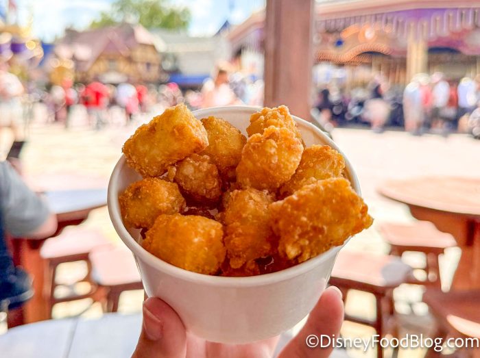 wdw-2024-mk-the-friars-nook-tater-tots-a