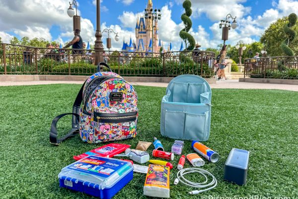 4 Backpack Organizers That Will Change Your Life in Disney World