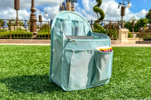 The Park Bag Organizers That Bring Order to Every Disney World Trip — All on Amazon