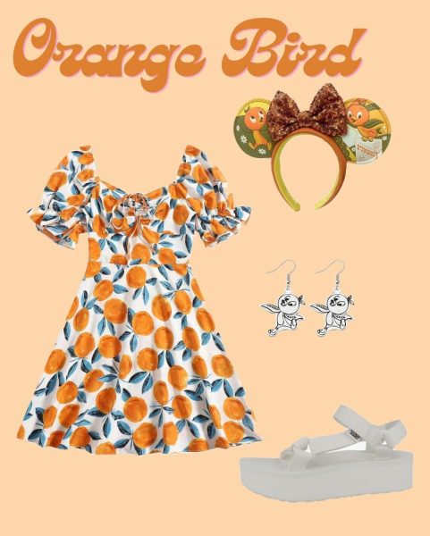 AllEars-Style-Character-Inspired-Orange-