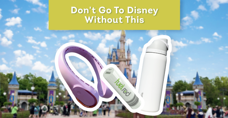 Don't Go to Disney World Without These 7 Items | the disney food blog