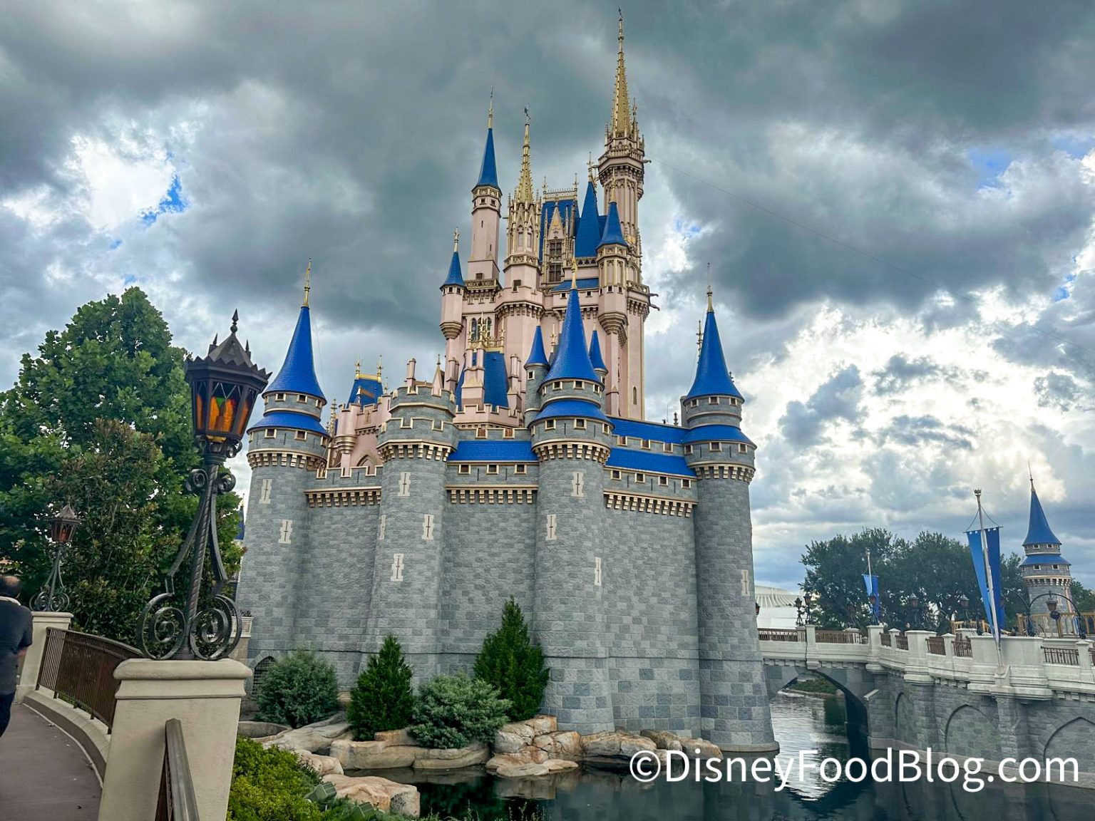 Be Prepared for This MAJOR Disney World App Problem Starting June 28th ...