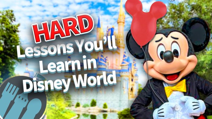 DFB Video: 13 HARD Lessons You'll Learn in Disney World | the disney ...