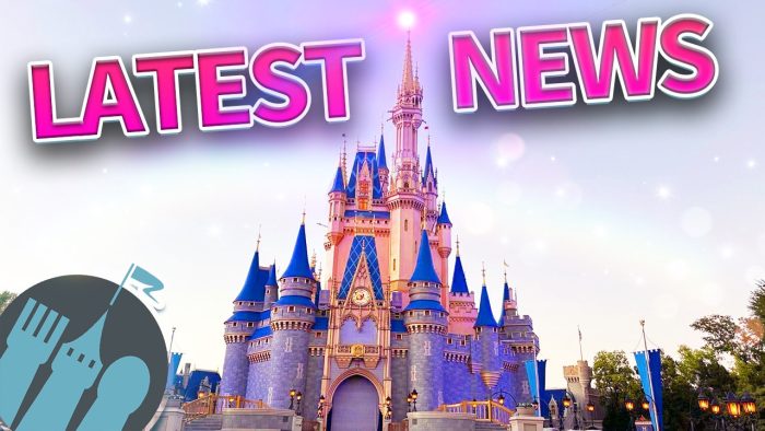 DFB VIDEO: Latest Disney News: Disney's New Island Destination is OPEN ...