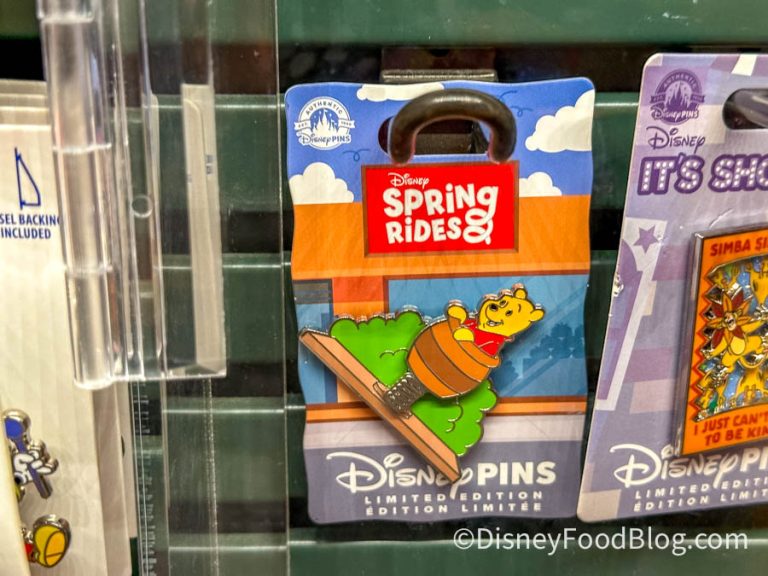 Spring Rides Disney Pin Disney's Animal Kingdom Updates from May 2024 | the disney food blog