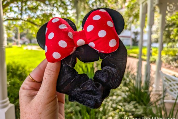 6 Disney Souvenirs UNDER $15 On Amazon Today