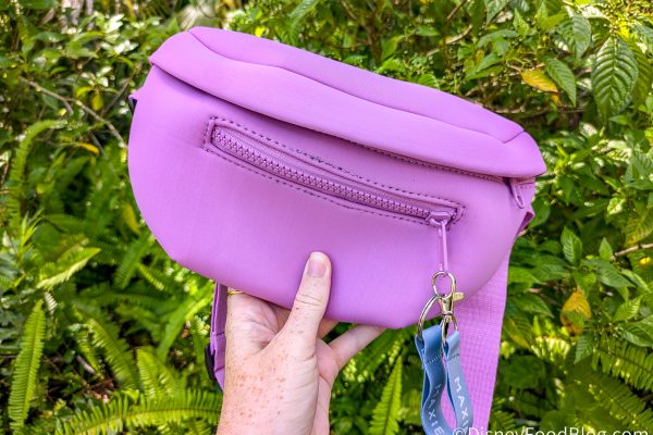 The One Disney World Souvenir Worth Paying $35 for on Amazon