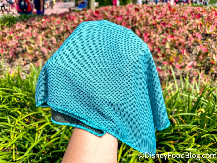 wdw-2024-epcot-cooling-towel-test-affili