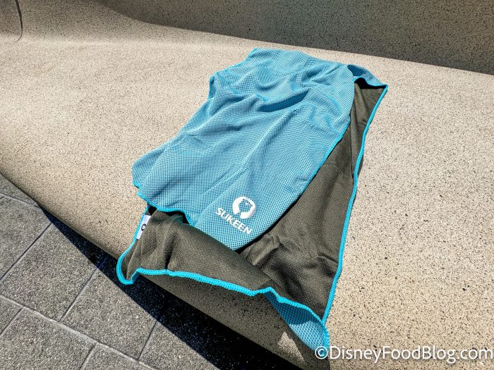 wdw-2024-epcot-cooling-towel-test-affili