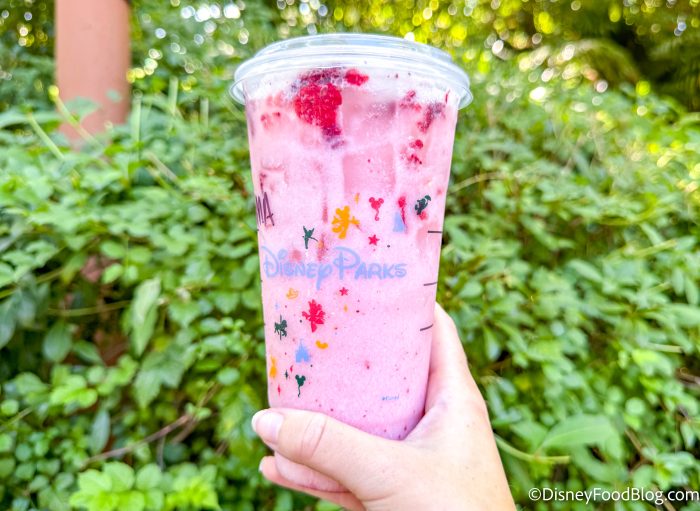 2024-wdw-DAK-starbucks-creature-comforts