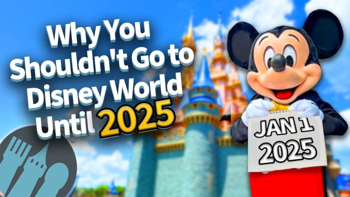 DFB Video: Why You Shouldn't Go to Disney World Until 2025 | the disney