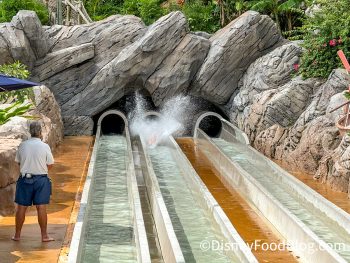 Typhoon Lagoon vs. Blizzard Beach — Disney World Water Parks Showdown
