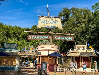 Typhoon Lagoon vs. Blizzard Beach — Disney World Water Parks Showdown