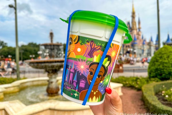 We Will Never Use a Popcorn Bucket the Same in Disney World Thanks to This $13 Upgrade