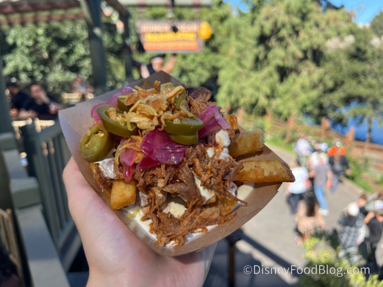SURPRISE! Disney's NEW Country Bear-Themed Restaurant Opened a Day ...