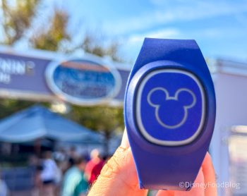 2 Exclusive NEW MagicBands Drop on January 20th. Disney Fans Can See ...