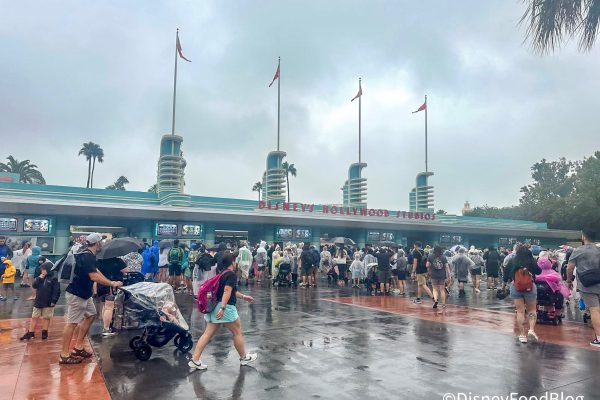 Fans Share the Wild Reality of Hurricanes at Disney World — and the 4 Tips That Matter Most