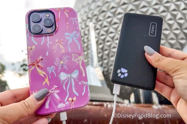 We Know What Every Disney Adult Will Be Buying From Amazon This Weekend