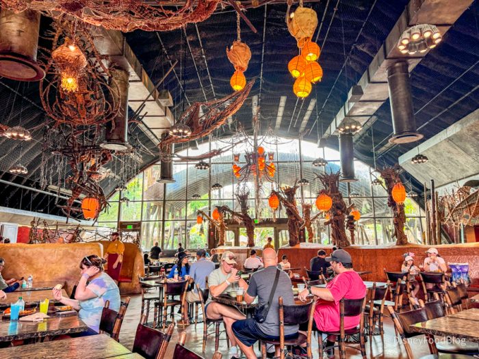 2024-wdw-dak-pandora-satuli-canteen-atmo