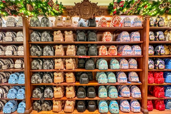Why Everyone Is Buying These $80 Bags for Disney World