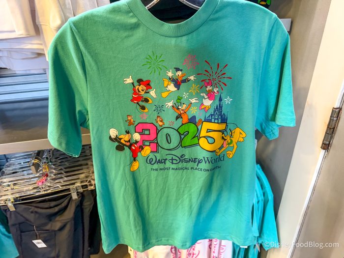 2024-WDW-EPCOT-pin-traders-2025-merchand