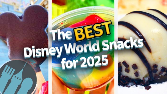 DFB Video: The BEST Disney World Snacks for 2025 | the disney food blog