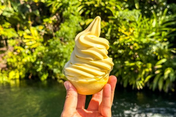 The Ninja Creami Hack That Lets You Make DOLE Whip at Home