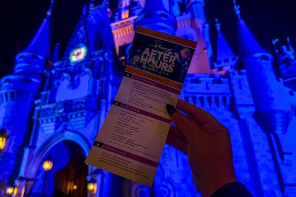 2 Perks MISSING From Magic Kingdom After-Hours in 2027