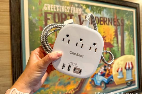 The 1 Essential You Should Bring to Every Disney World Hotel