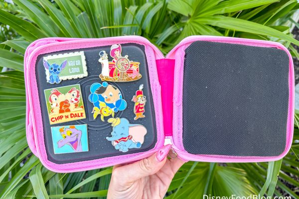 The WEIRD Pin Rule That You HAVE To Follow At D23