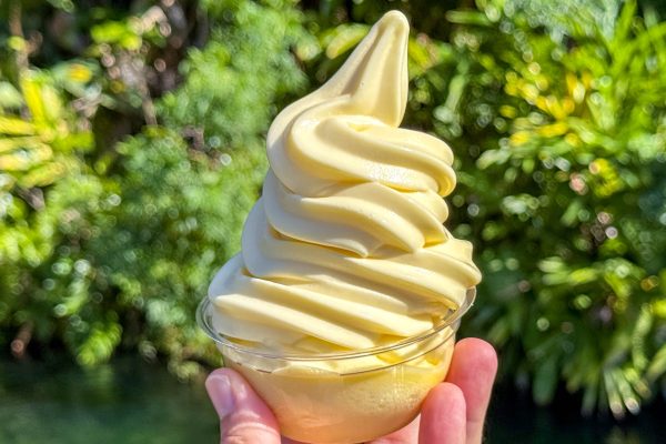We Just Watched DOLE Whip End a Full-Blown Disney World Meltdown in Seconds