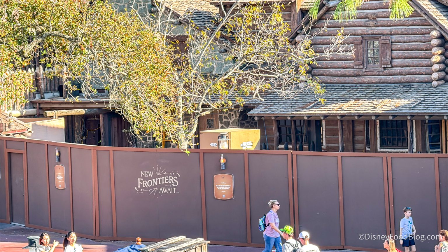 2025 Is the Year of Disney World Ride Closures. Here's How To Cope ...