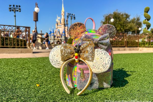If Your Disney World Outfit Looks Like This, You’re an EXPERT